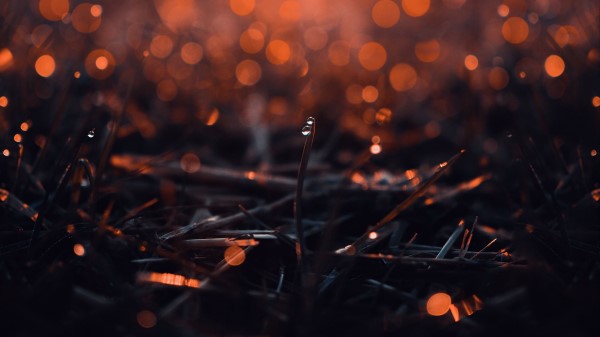 Leaf Macro Drop wallpaper