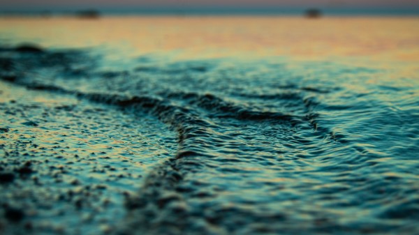 Water Sea Macro wallpaper