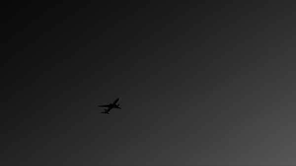 Plane Bw Sky Wallpaper