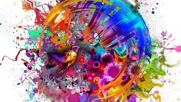 Abstract Colors Flashy Bird 4k Zj Wallpaper