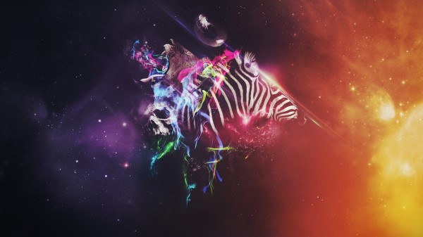 Animals Colorful Abstract Wallpaper