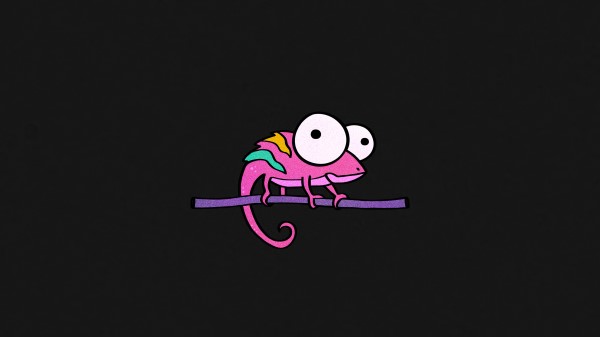 Chameleon Minimal 4k Dl Wallpaper