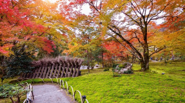 Fall Park Autumn 5k Wallpaper