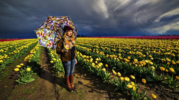 In Field With Umbrella Wallpaper