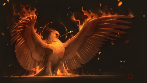 Phoenix 5k Wallpaper