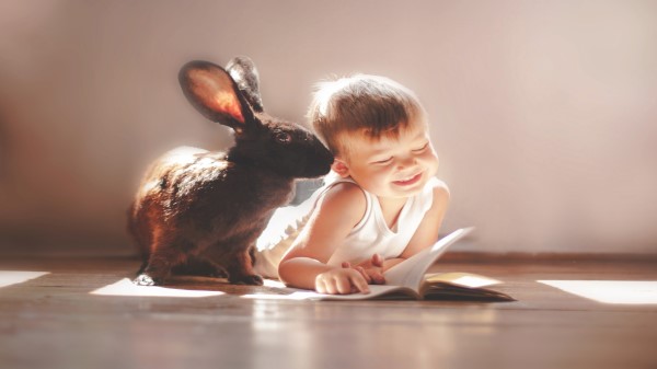 Rabbit And Children Cute 5k Wallpaper