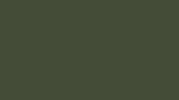 Rifle Green Solid Color Background 8k wallpaper