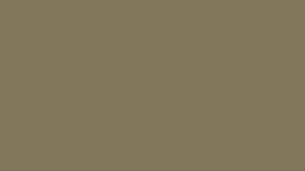 Spanish Bistre Solid Color Background 8k Wallpaper