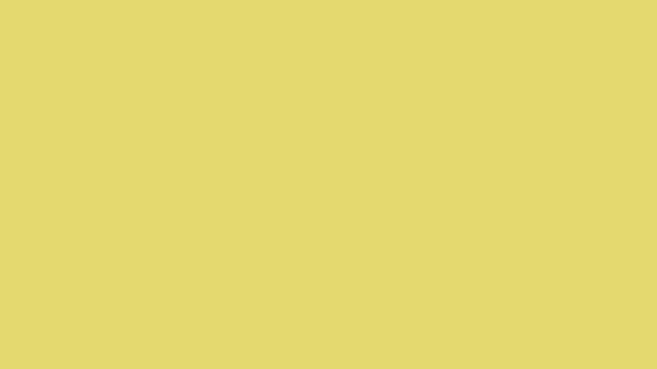 Straw Solid Color Background 8k wallpaper