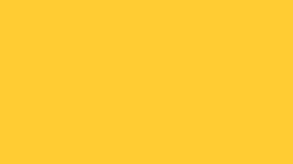 Sunglow Solid Color Background 8k wallpaper