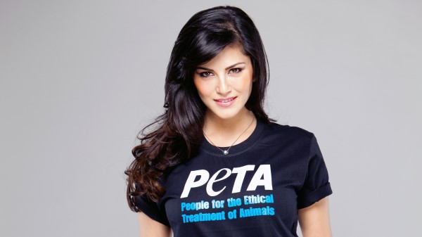 Sunny Leone Peta 8k wallpaper
