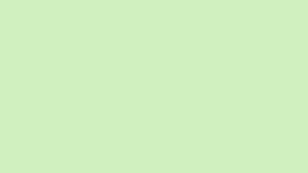 Tea Green Solid Color Background 8k wallpaper