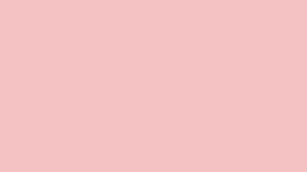 Tea Rose Rose Solid Color Background 8k wallpaper