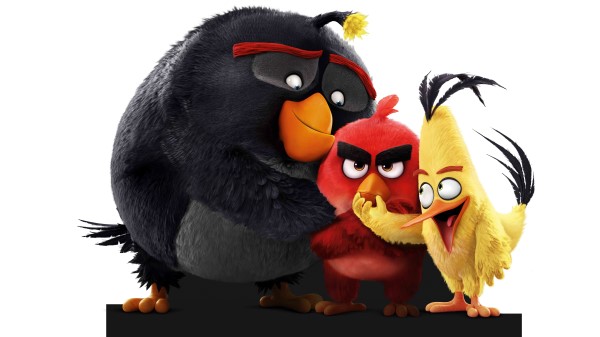 The Angry Birds Qhd 8k wallpaper