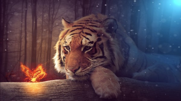 Tiger Dreamy Art 8k wallpaper