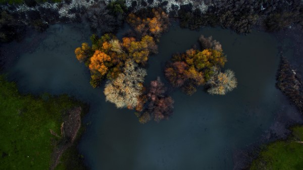 Top View Of Trees At Winter Morning Uhd Wallpaper