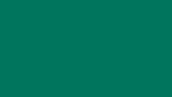 Tropical Rain Forest Solid Color Background 8k wallpaper