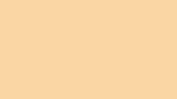 Tuscan Solid Color Background 8k wallpaper