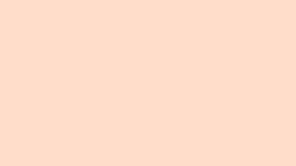 Unbleached Silk Solid Color Background 8k wallpaper