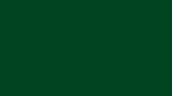 Up Forest Green Solid Color Background 8k wallpaper