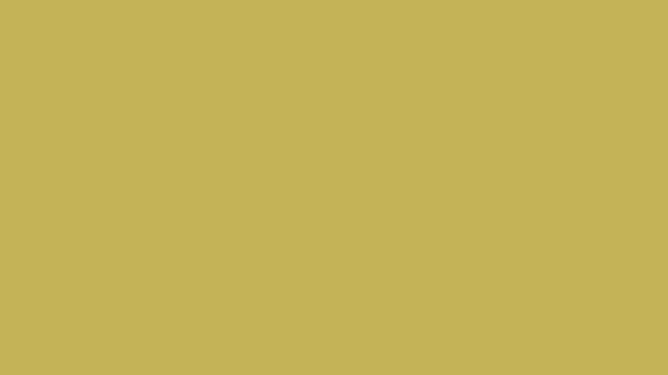 Vegas Gold Solid Color Background 8k wallpaper