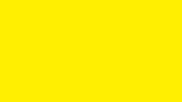 Yellow Rose Solid Color Background 8k wallpaper