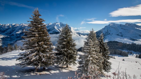 Ate Mountains Snow Wallpaper