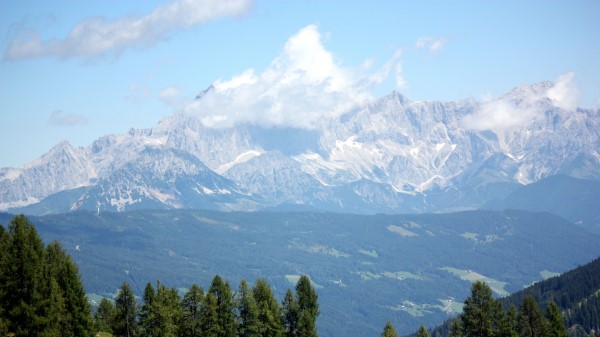 Austria Alps Mountains Trees Wallpaper