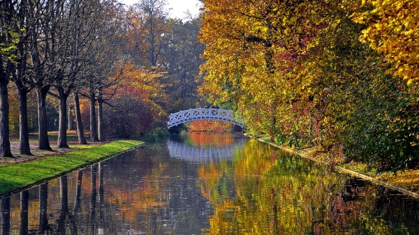 Autumn Bridge River Park Trees Reflection Wallpaper