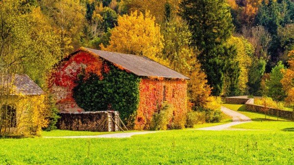 Autumn Building Grass Trees Wallpaper Wallpaper