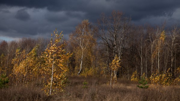 Autumn Clouds Trees Nature 2 Wallpaper