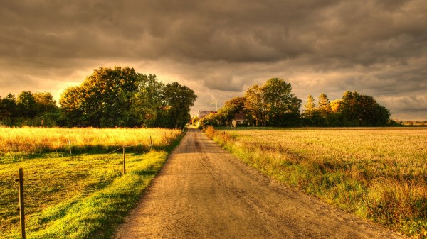 Autumn Field Road Landscape Wallpaper
