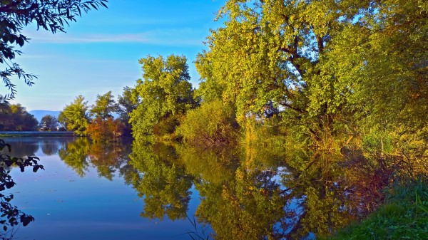Autumn Lake Trees Landscape Wallpaper Wallpaper