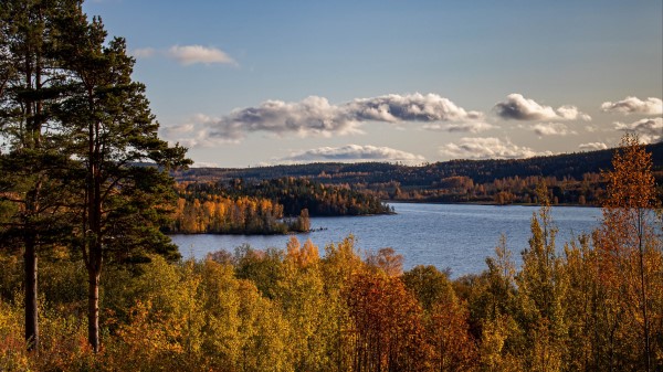 Autumn Lake Trees Wallpaper
