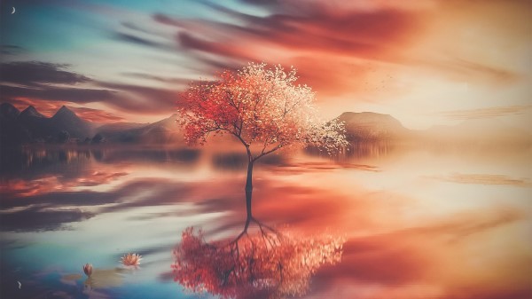Autumn Tree Reflections Wallpaper