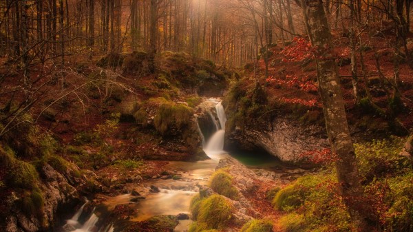 Autumn Waterfall Stream Wallpaper