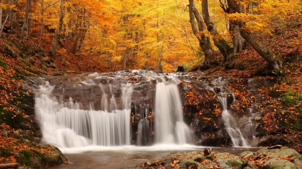 Autumn Wood Leaf Fall Falls Cascades Stones Murmur Wallpaper Wallpaper