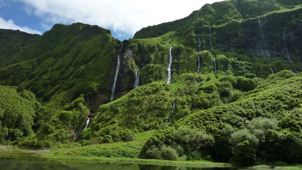 Azores Portugal Waterfalls Trees Grass wallpaper