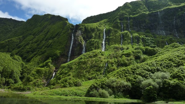 Azores Portugal Waterfalls Trees Grass Wallpaper Wallpaper