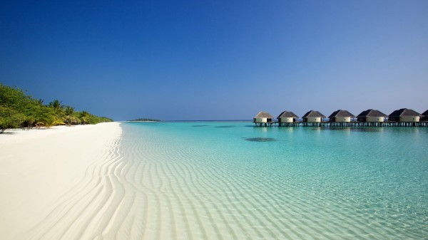 Beach Ocean Sand Palm Trees Bungalows Wallpaper Wallpaper