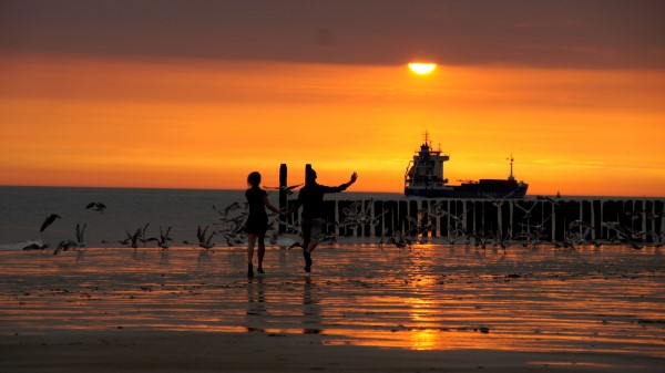 Beach Promenade Bridge Sea Sunset Waves Children Birds Wallpaper