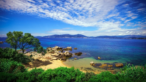 Beach Sky Grass Sea Nature Wallpaper
