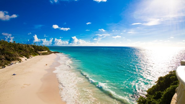 Beach Tropics Sea Sand Grass Wallpaper Wallpaper