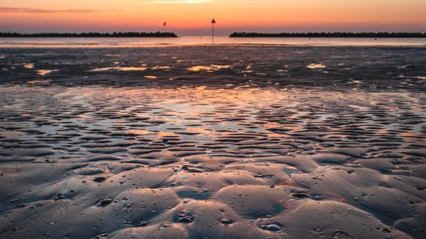 Beach Water Sand Wallpaper