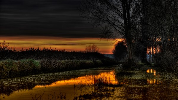 Beauiful Lake At Night Wallpaper