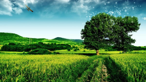 Beautiful Green Nature Fresh Spring Air Wallpaper Wallpaper