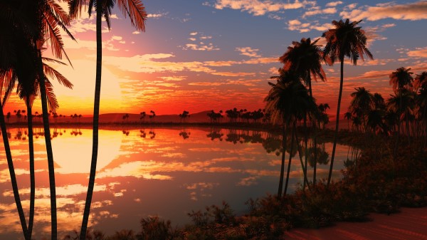 Beautiful Lake Sunset Wallpaper