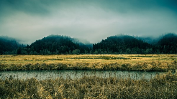 Beautiful Nature Mountains Fog Trees Ze Wallpaper