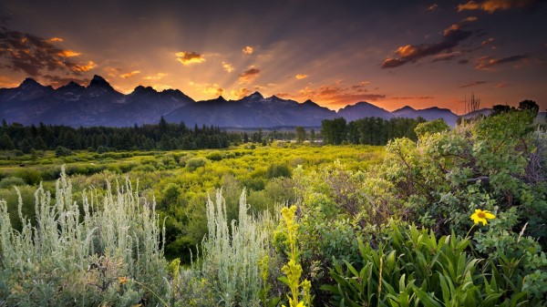 Beautiful Scenery Wallpaper