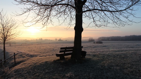 Bench Dawn Frost Wallpaper